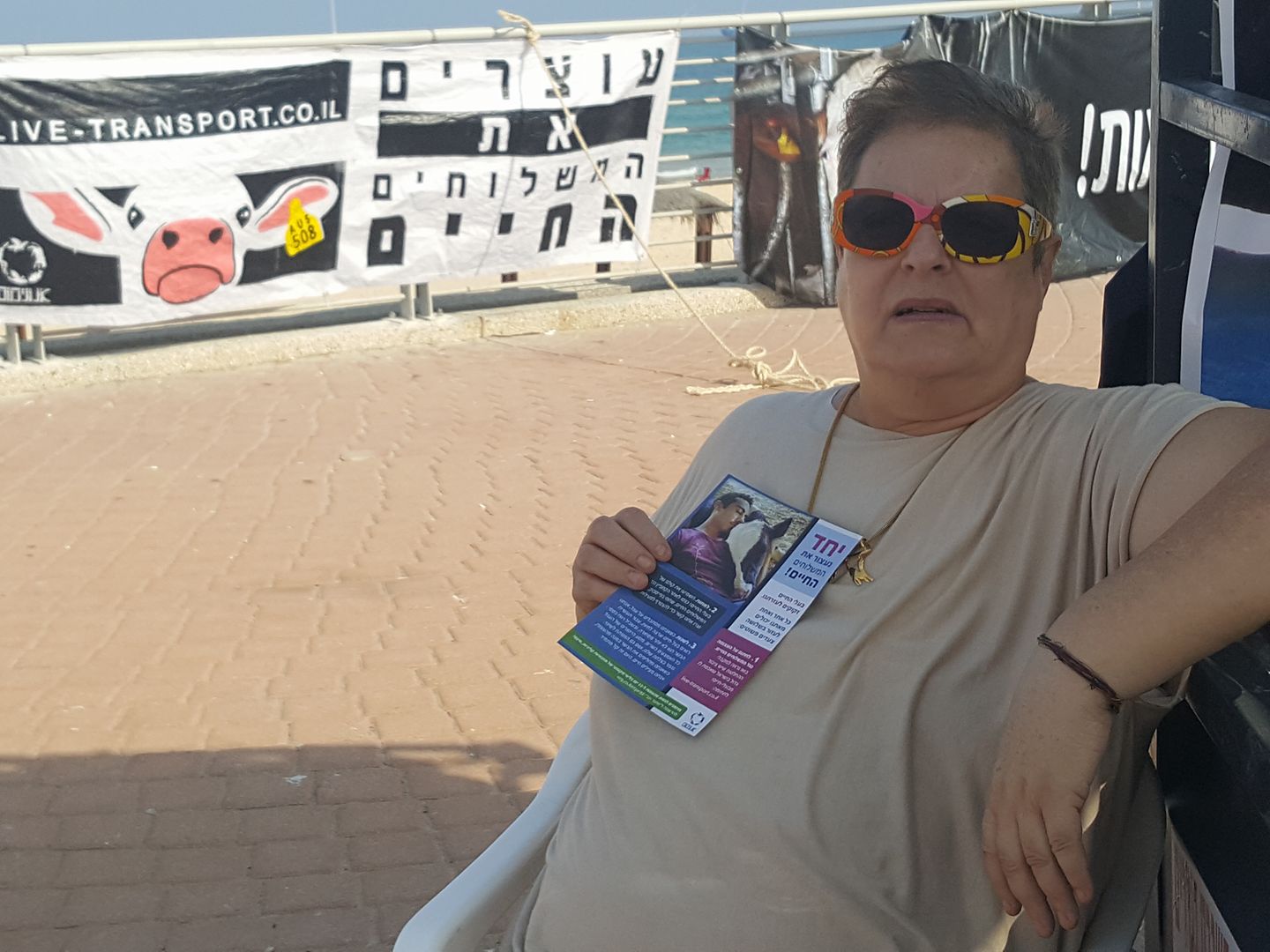 נילי נהיר